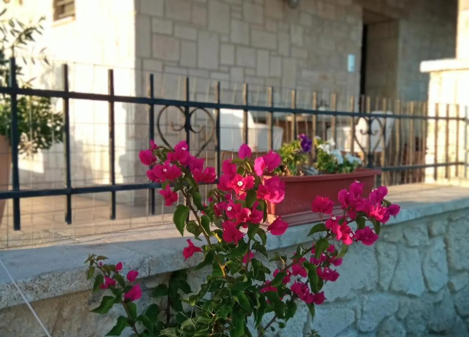 דירות אפיטוס Rodiola House